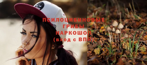 скорость Новодвинск