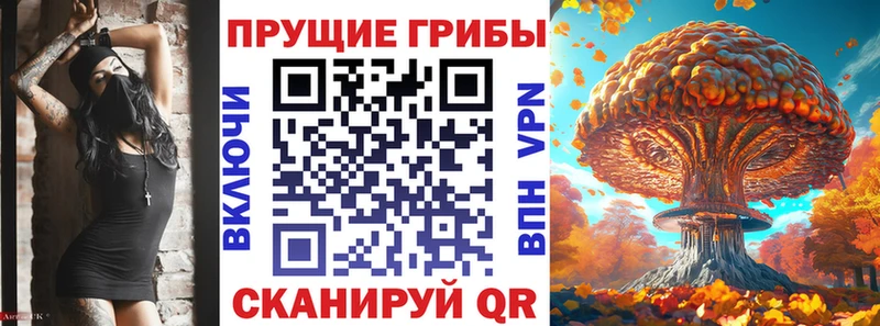 Галлюциногенные грибы прущие грибы купить цена Кирсанов