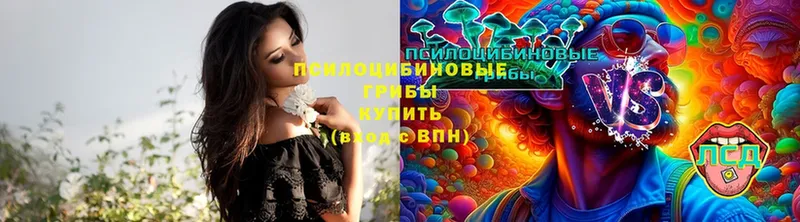 Галлюциногенные грибы MAGIC MUSHROOMS  Кирсанов 